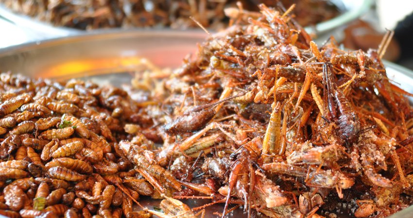 Siem Reap Evening Street Food Tour